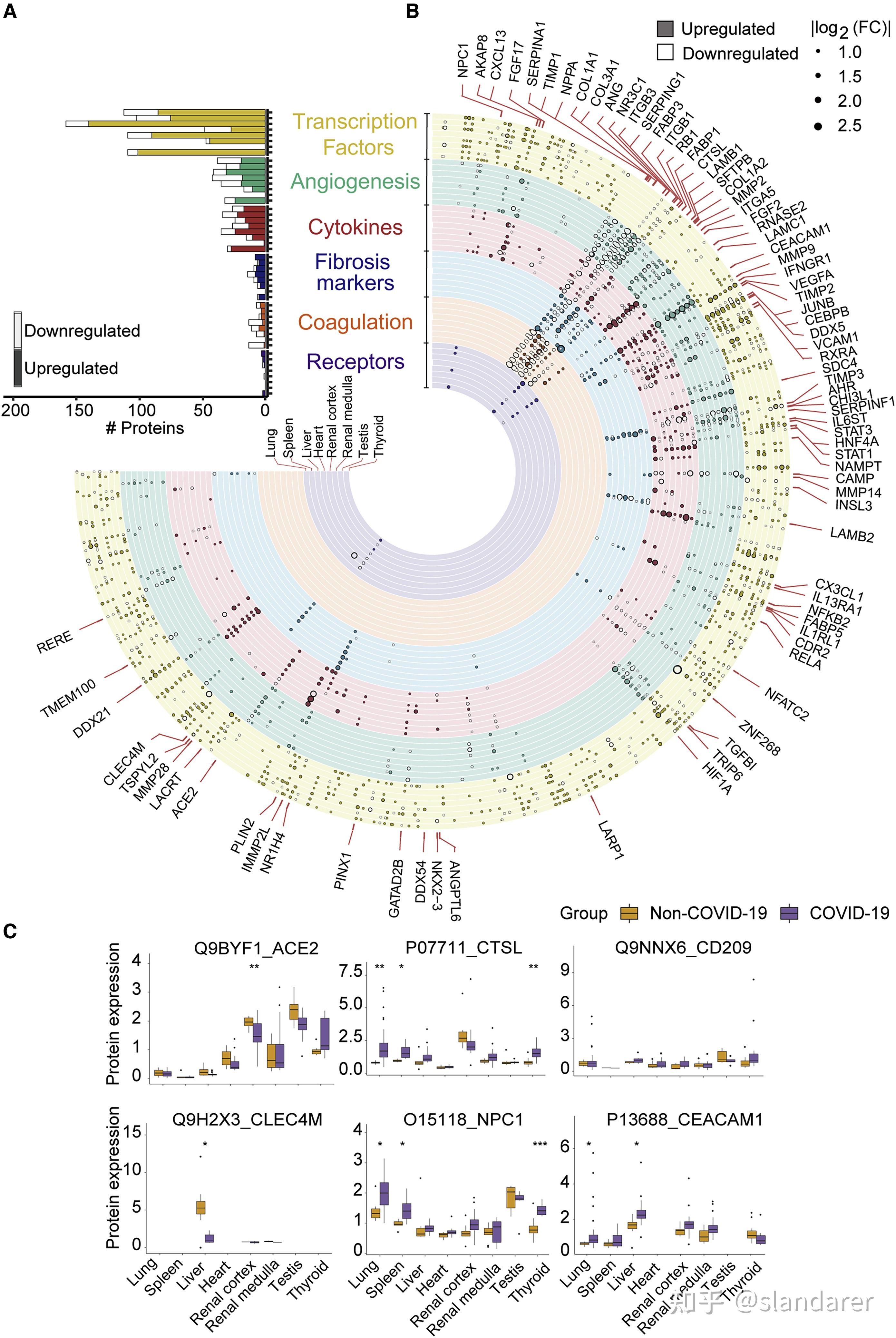 怎样使用matlab手机版(手机上的matlab怎么运行)-第5张图片-QuickQ官网