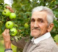 lostlif苹果版(lostlife手机破解版)