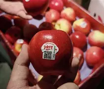 lostlif苹果版(lostlife手机破解版)-第4张图片-QuickQ官网 lostlif苹果版(lostlife手机破解版)-第4张图片-QuickQ官网