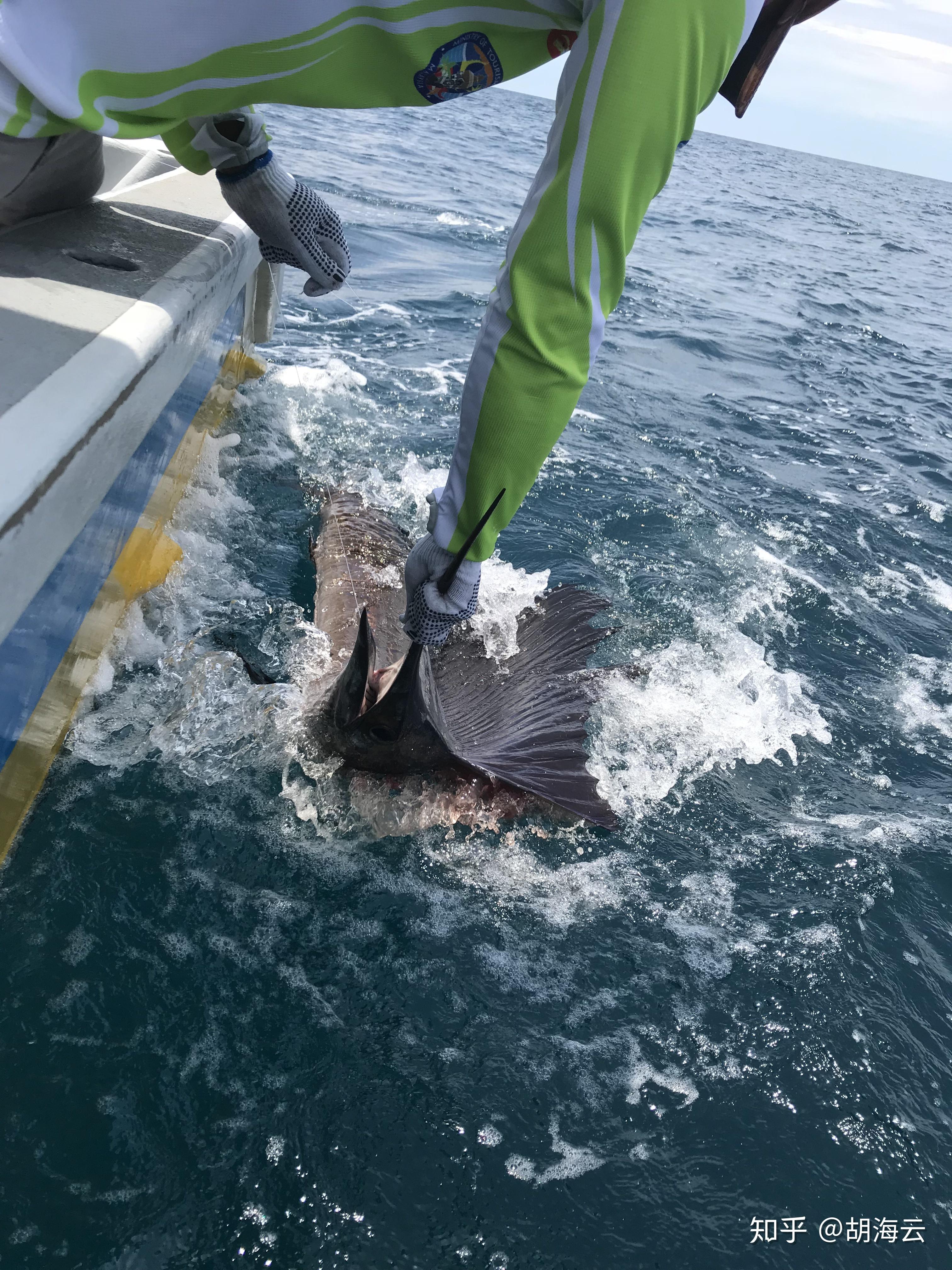 旗鱼影视手机版安卓(旗鱼影视app吾爱破解)