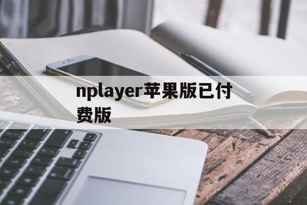 nplayer苹果版已付费版(nplayer ios账号分享 2020)-第4张图片-QuickQ官网 nplayer苹果版已付费版(nplayer ios账号分享 2020)-第4张图片-QuickQ官网