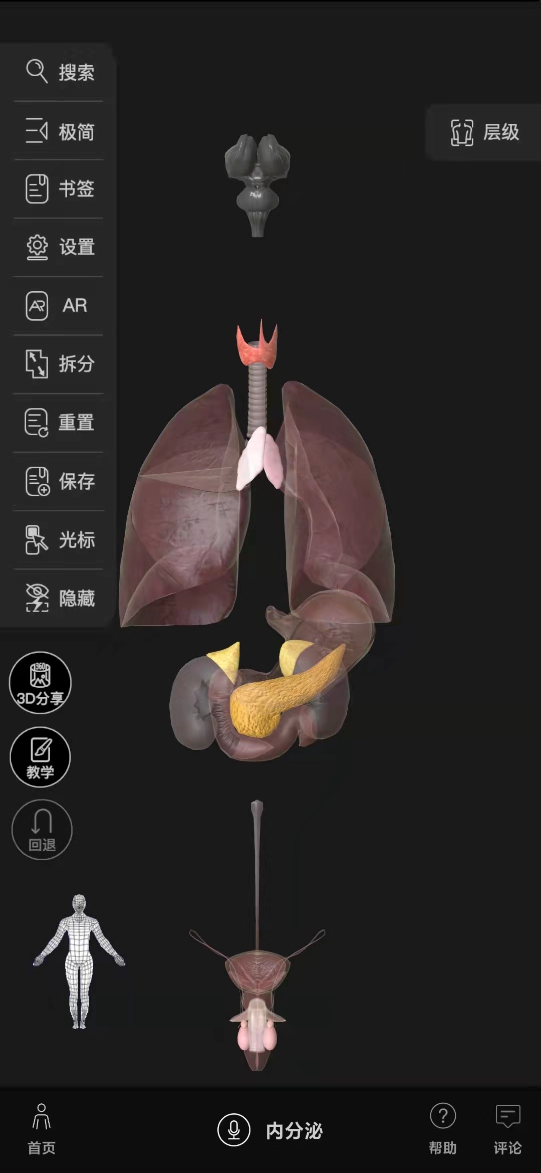 人体3d解剖安卓版下载(3d人体解剖学软件免费下载官方网站)