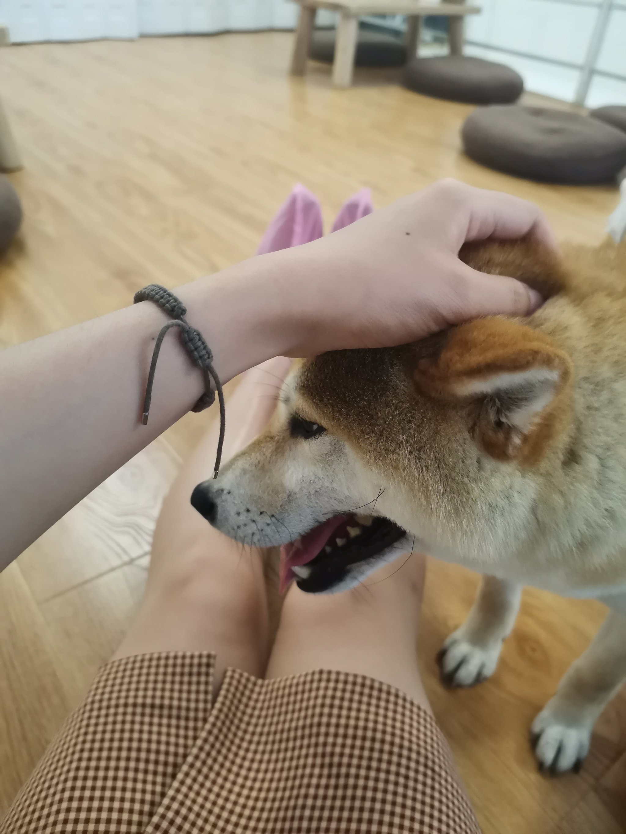 anjiulu手机版(安九路增设收费站的公告)-第3张图片-QuickQ官网 anjiulu手机版(安九路增设收费站的公告)-第3张图片-QuickQ官网