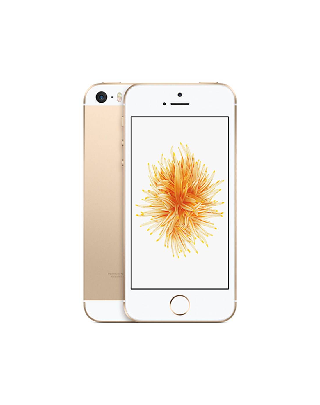 苹果公开版和单卡版(苹果公开版和4g版区别)