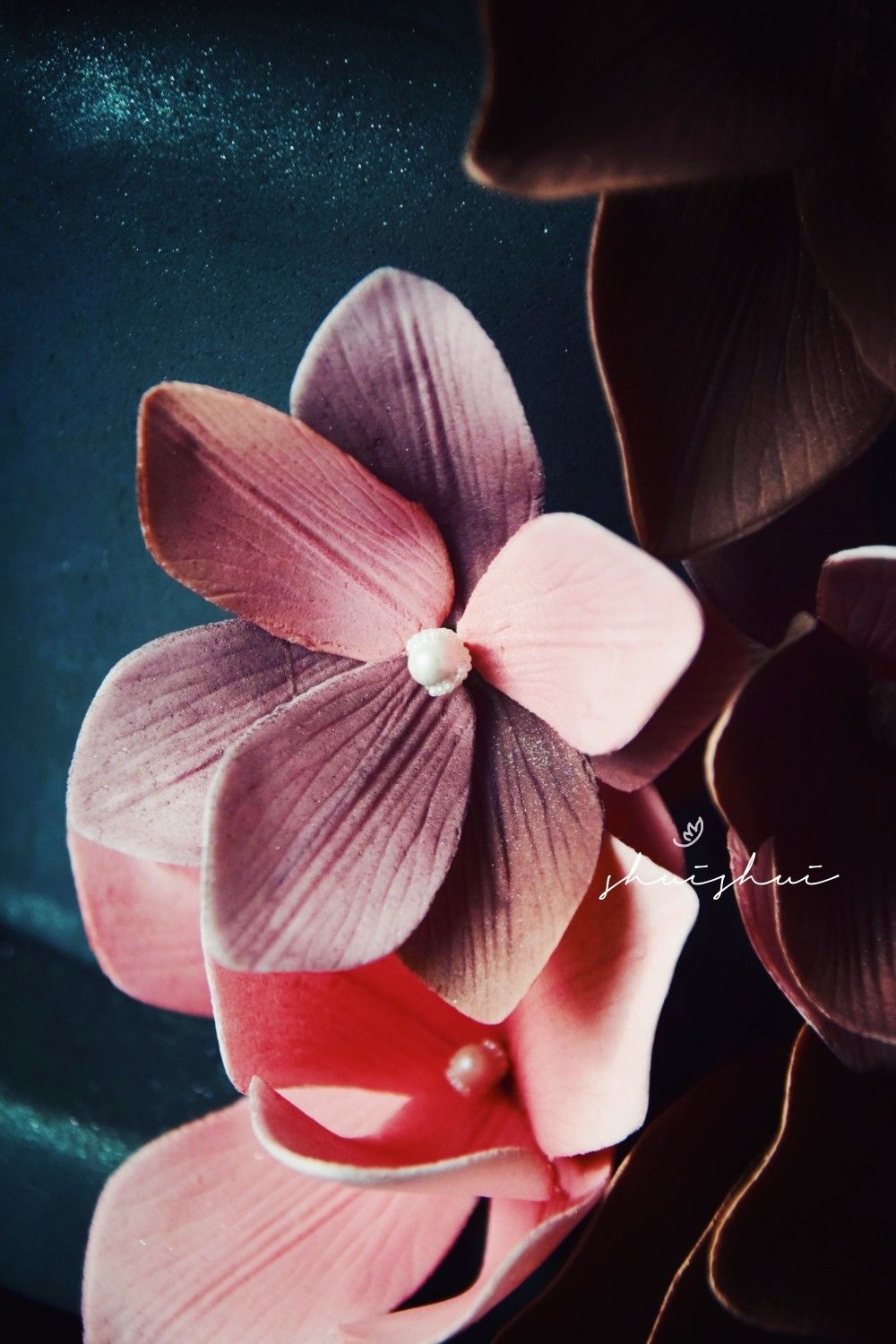 有糖浏览器手机版(糖果浏览器手机版下载)