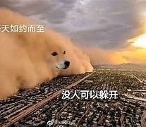 沙雕生物手机版下载(沙雕生物手机版下载安装)-第1张图片-QuickQ官网